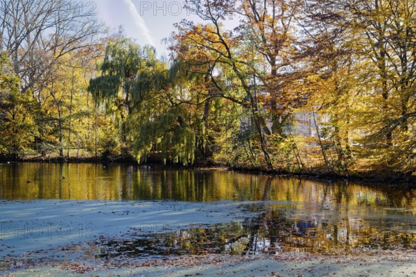 Trees in autumn colors on Sandbrack, a lake in the Kirchwerder district of Hamburg. FÃ¼nfhausen, Kirchwerder, Hamburg, Germany