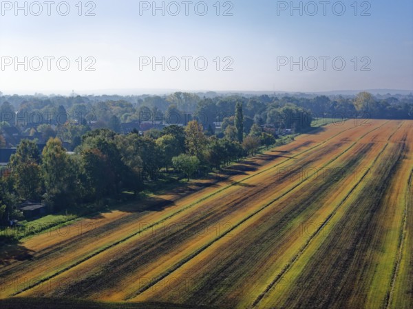 Autumn fields near FÃ¼nfhausen in Hamburg's Vier- und Marschlanden. aerial view. FÃ¼nfhausen, Kirchwerder, Hamburg, Germany