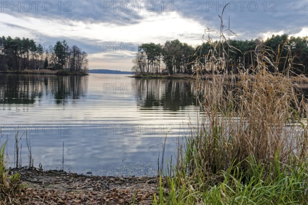 Neuendorfer See in the evening near Alt Schadow, MÃ¤rkische Heide, in the Spreewald UNESCO Biosphere Reserve. Alt Schadow, Brandenburg, Germany
