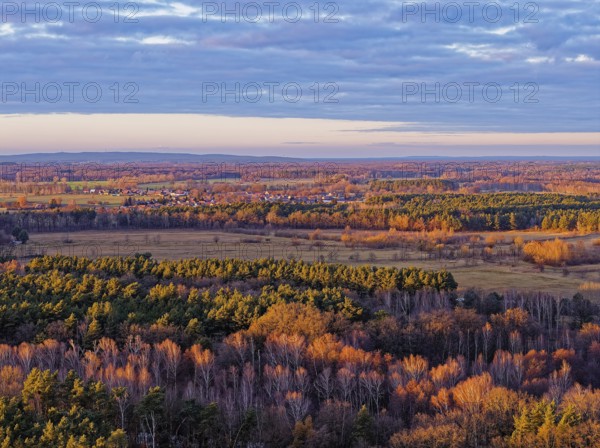 Mixed autumn forest in the evening light near LÃ¼bben in the Dahme-Spreewald district in Lower Lusatia. Spreewald UNESCO Biosphere Reserve. aerial view. LÃ¼bben, Brandenburg, Germany