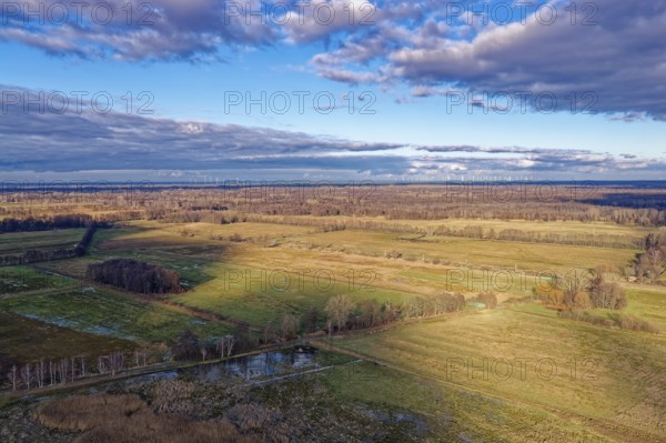 Forest and meadow landscape of GroÃŸ LÃ¼bbenau in the Oberspreewad-Lausitz district, UNESCO Spreewald Biosphere Reserve. aerial view. LÃ¼bbenau, Brandenburg, Germany
