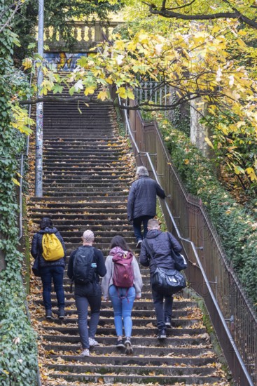 Willy Reichert squadron. There are up to 400 stables in Stuttgart. The stairs not only serve as a shortcut between the half-heights and the city center, but are also often used as a viewing or meeting point. StÃ¤ffele are typical of the state capital and a special attraction. Stuttgart, Baden-WÃ¼rttemberg, Germany