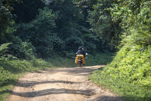 Motorbike on a road through the jungle, western region, Uganda