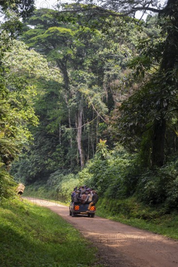 Overloaded car on a road through the jungle, Western region, Uganda