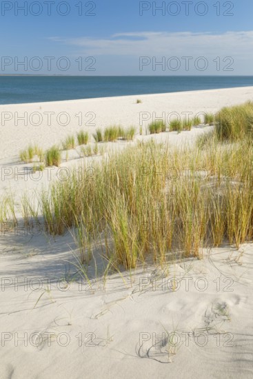 Sand dunes and an elbow beach on the coast of the German island of Sylt with a view of the island of RÃ¸mÃ¸ in Denmark