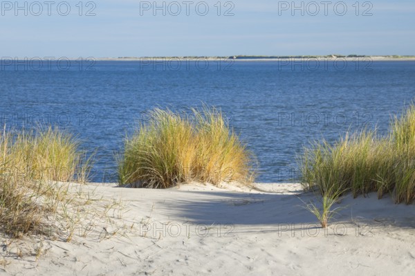 Elbow sand dunes on the coast of the German island of Sylt with a view of the island of RÃ¸mÃ¸ in Denmark