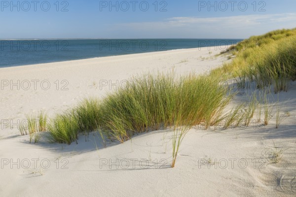Sand dunes and an elbow beach on the coast of the German island of Sylt with a view of the island of RÃ¸mÃ¸ in Denmark