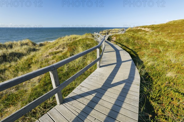 Wooden trail near Kampen along the coast of the island of Sylt, Germany