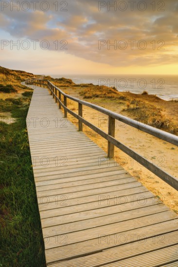 Wooden trail near Kampen along Red Cliff Cliff on the island of Sylt, Germany