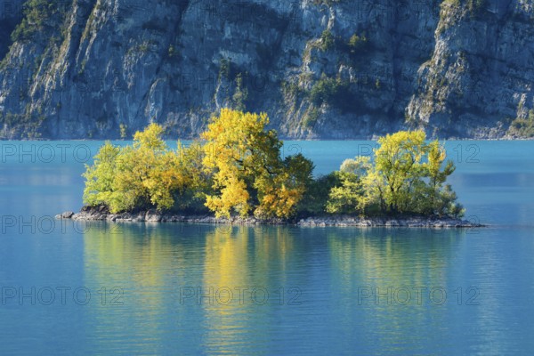 Small chive island in the turquoise water of Lake Walen, Canton of St. Gallen, Switzerland