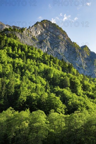 NebelkÃ¤ppler, Klöntal, Canton of Glarus, Switzerland