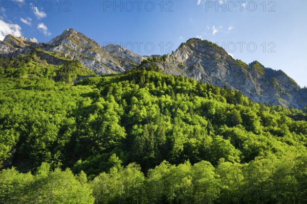 Klein Feuerberg, NebelkÃ¤ppler and Milchplankenstock, Klöntal, Canton of Glarus, Switzerland