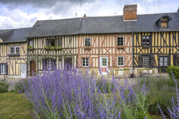 Lavender and timbered houses, Le Bec-Hellouin, Eure, France