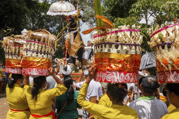 The mortal remains of a deceased person are placed in an animal sarcophagus (wadha) during the ngaben ceremony and then cremated. Wadah, the vehicle, the sacred magnificent animal, is the vehicle used to transport the soul of the deceased to the spirit realm, Ngaben ceremony, Gianyar, Ubud, Bali, Indonesia