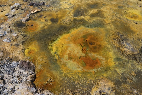 Volcanic, mineral-rich landscape of yellow and orange earth tones with textured surface, geothermal area, rainbow rocks Tuzla, AyvacÄ±k, Ayvacik, Ã‡anakkale, Canakkale, Turkey