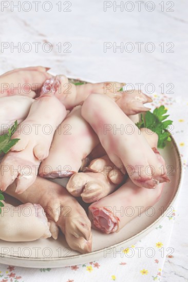 Pork trotters arranged on a plate with fresh parsley on a white background