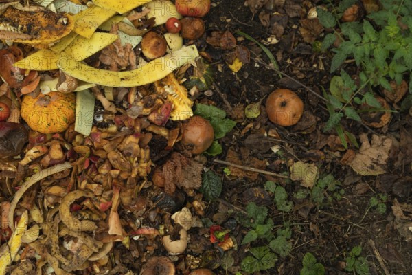 Compost pile made of organic food, leaves, vegetable and fruit Waste mix, Zero waste and Eco friendly Recycling concept