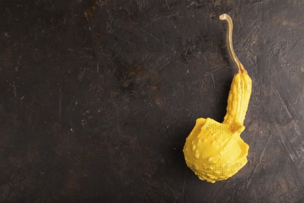 Decorative orange Pumpkin on black concrete background, top view, flat lay, copy space, minimalism