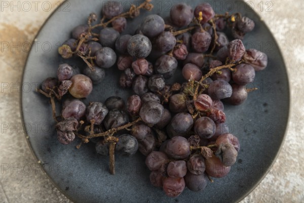 Bunches of rotten and Dry Red wine grapes on blue plate on brown concrete background, harvest, decay. Side view, close up, selective focus