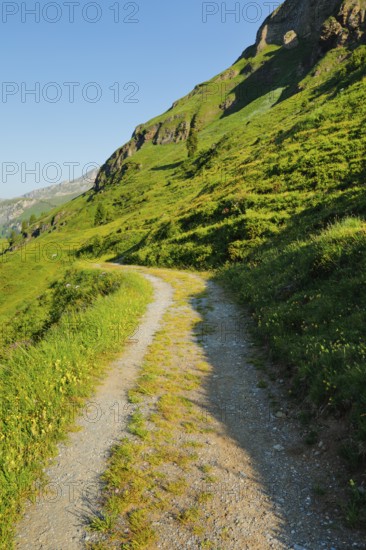 Wanderweg, Engstlenalp, Canton of Bern, Switzerland