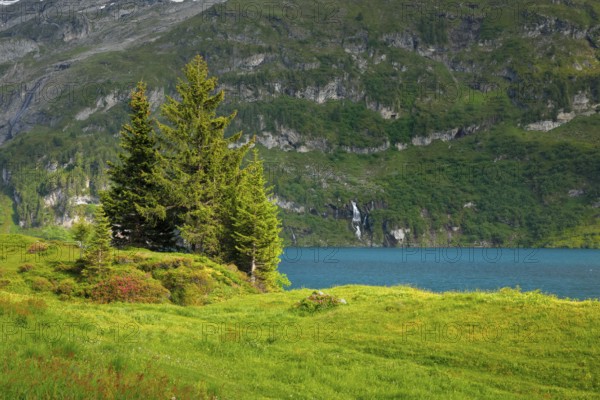 Engstlensee near Engstlenalp, Canton of Bern, Switzerland