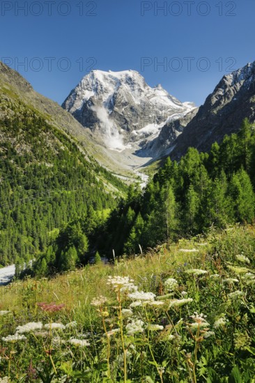 Avalanche at Mt. Collon, Arollatal, Val d'Hérens, Canton of Valais, Switzerland