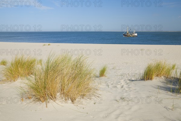 Sand dunes and an elbow beach on the coast of the German island of Sylt with a view of the island of RÃ¸mÃ¸ in Denmark
