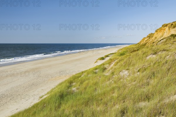 Red Cliff, steep coast on the island of Sylt, Germany