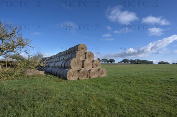 Stacked round straw bales from the agricultural cooperative on a meadow, Othenstorf, Mecklenburg-Western Pomerania, Germany