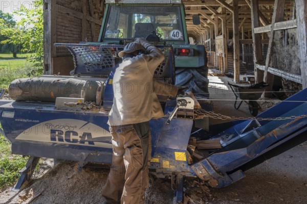 Young man sawing and splitting a beech log with his saw cutting machine with a conveyor belt, driven by a tractor in a barn, Othenstorf, Meckleburg-Vorpommern, Germany