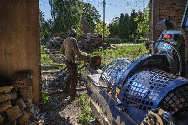 Young man sawing and splitting beech logs with his saw cutting machine, powered by a tractor in a barn, Othenstorf, Meckleburg-Vorpommern, Germany