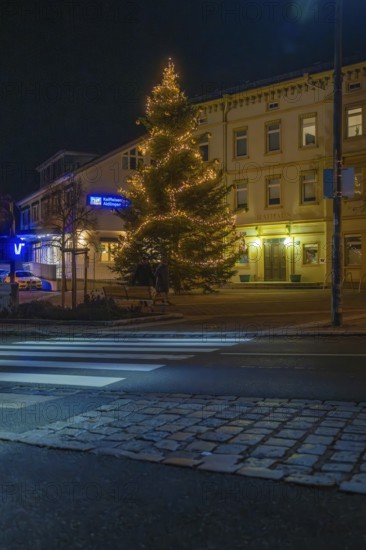 An illuminated tree in front of a building at night, street in the foreground, Aidlingen, Böblingen district, Germany
