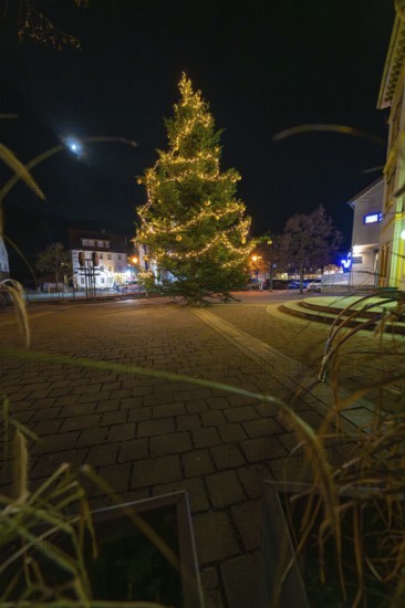 A Christmas tree with lights and a visible moon at night, Aidlingen, Böblingen district, Germany