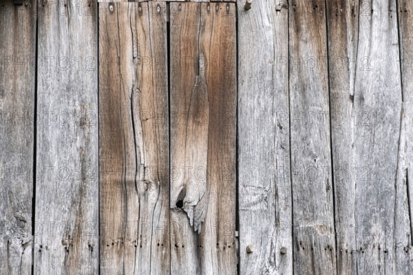 Detail of an old wooden door, texture, background, MÃ¼nsterland, North Rhine-Westphalia, Germany