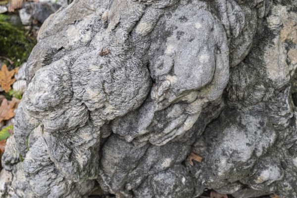Sand rose, barytrose, sedimentary rock, Tertiary geological age, 40 million years old, MÃ¼nsterland, North Rhine-Westphalia, Germany