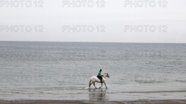 A female rider riding on a mold through the shallow water of the Baltic Sea, Scharbeutz, 27.11.2025, Scharbeutz, Schleswig-Holstein, Germany