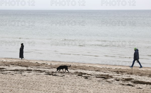 Woman with man and dog on the Baltic Sea beach, Scharbeutz, 27.11.2025, Scharbeutz, Schleswig-Holstein, Germany