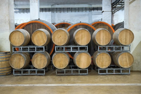 Murfatlar winery, Cellar, Constanta County, Romania