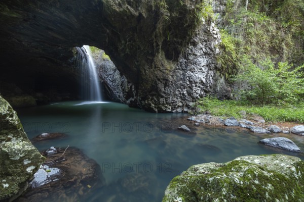 Natural Bridge Springbrook National Park Waterfall in the Basalt Cave, Queensland Gondwana Rainforest World Heritage Site, Australia