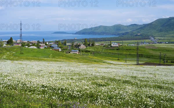 Wide view of flower fields and hills with a distant lake and village, view of Tsovagiugh and Lake Sevan, Tsovagyugh, Sevan, Gegharkunik Province, Armenia