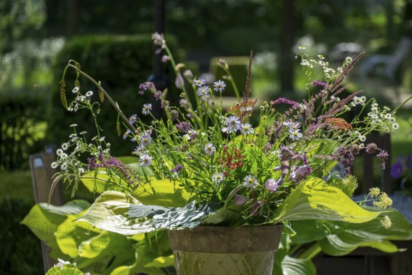 A colorful bouquet of wildflowers in a beige vase stands in the sunlight of a garden, the Netherlands