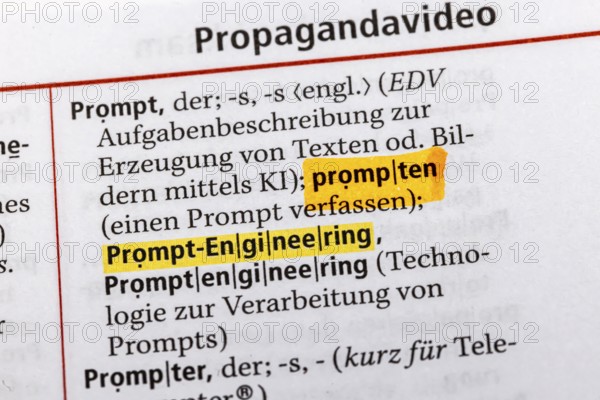 Prompt engineering. Term from the Duden. Standard work of German spelling, 29th edition. germany