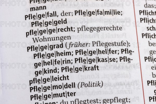 Care level, nursing home, care fund, care allowance, care case. Term from the Duden. Standard work of German spelling, 29th edition. germany