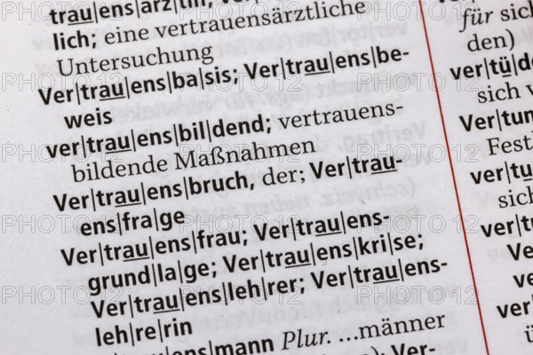 A question of trust, crisis of trust. Term from the Duden. Standard work of German spelling, 29th edition. germany