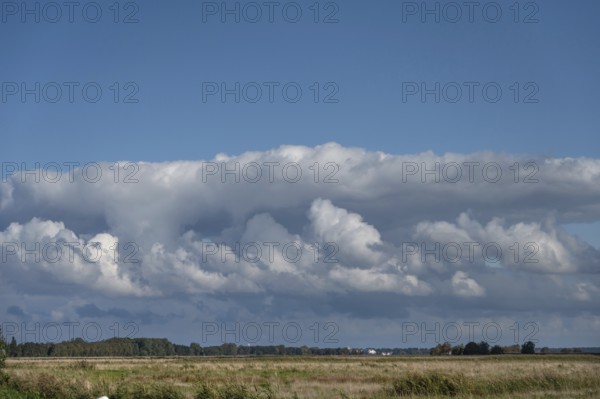 Clouds above the lagoon landscape, Ahrenshoop, Mecklenburg-Western Pomerania, Germany