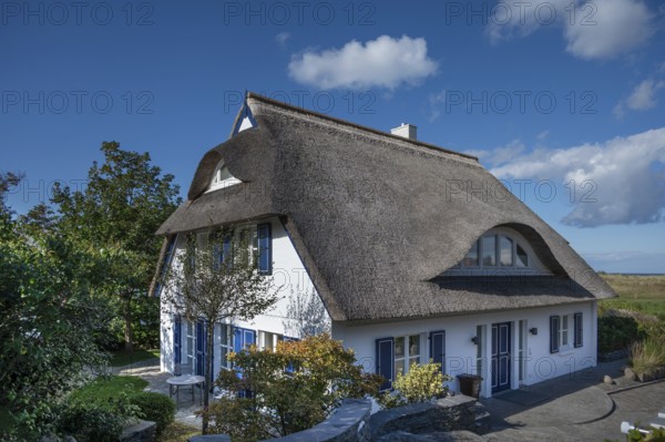 Private thatched house, Ahrenshoop, DarÃŸ, Mecklenburg-Western Pomerania, Germany