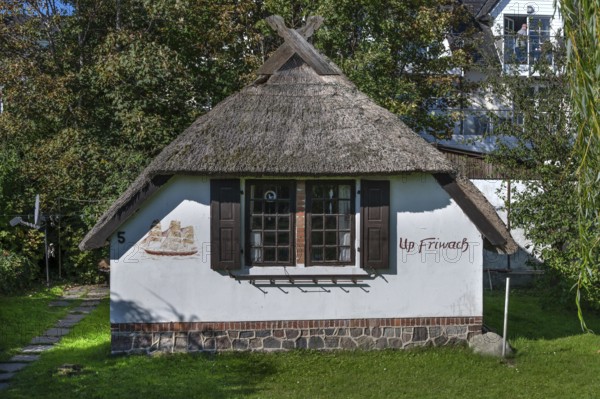 Old fisherman's house with thatched roof, Ahrenshoop, DarÃŸ, Mecklenburg-Western Pomerania Germany
