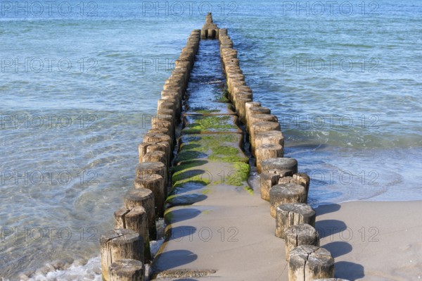 Grooves in the Baltic Sea, Ahrendhoop, DarÃŸ, Mecklenburg-Western Pomerania, Germany