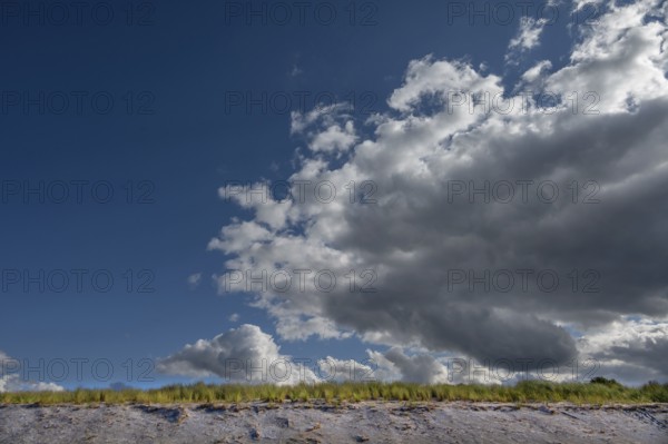 Beach oats (Ammophila) on the beach, rain clouds (Nimbostratus), Baltic Sea, DarÃŸ, Mecklenburg-Western Pomerania, Germany