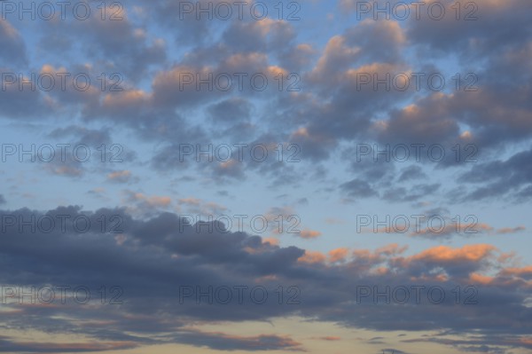 Evening cloud sky, DarÃŸ, Mecklenburg-Western Pomerania, Germany